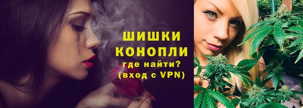 PSILOCYBIN Балабаново