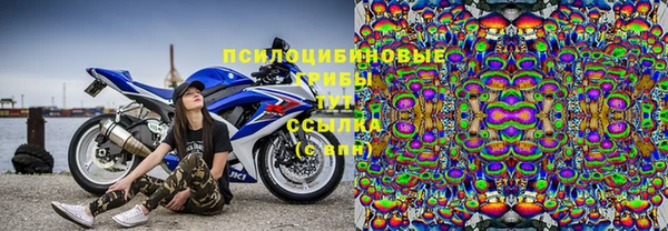 PSILOCYBIN Балабаново