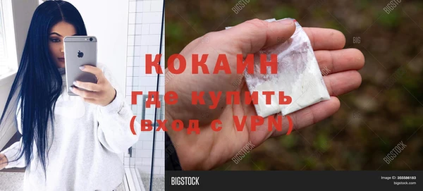 PSILOCYBIN Балабаново