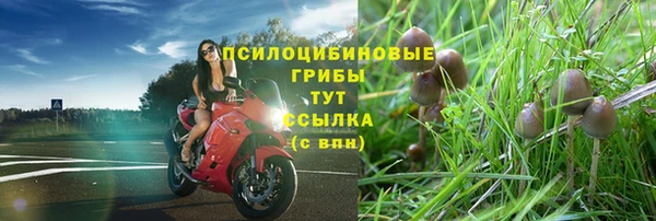 PSILOCYBIN Балабаново