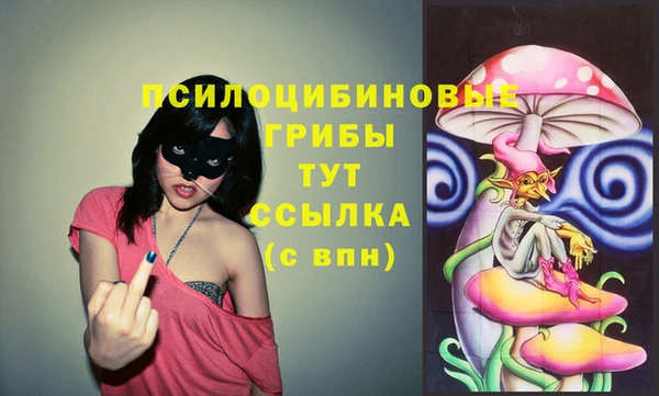 PSILOCYBIN Балабаново
